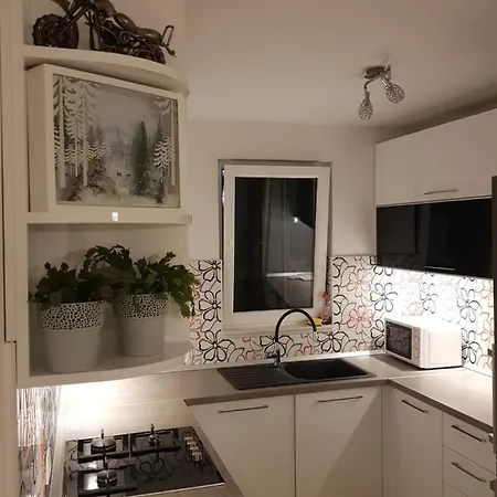Apartment Fortuna *